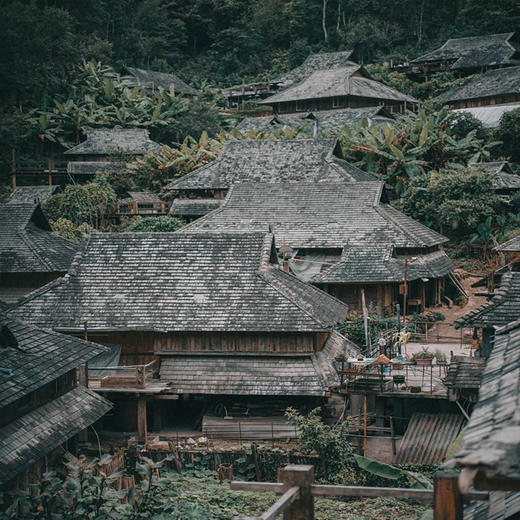 【景迈山地区·上门接送】云南·景迈山 | 古寨茶林一日游 | 糯干古寨+翁基古寨+大平掌古茶林+蜂神树 商品图6