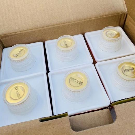 老牌椰汁一箱 商品图2