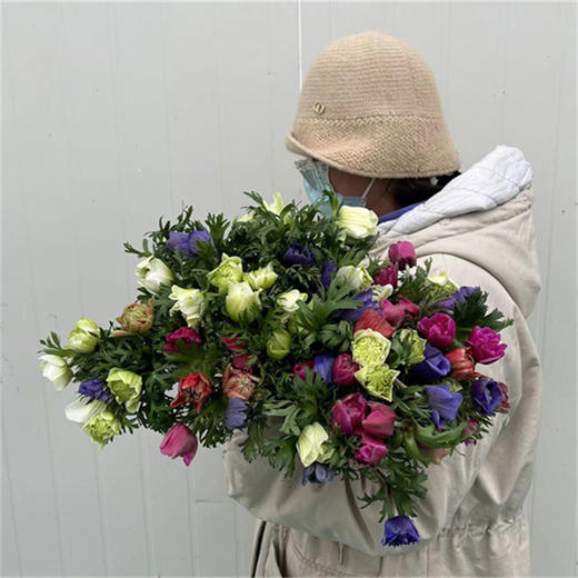 国产小众银莲花 商品图6