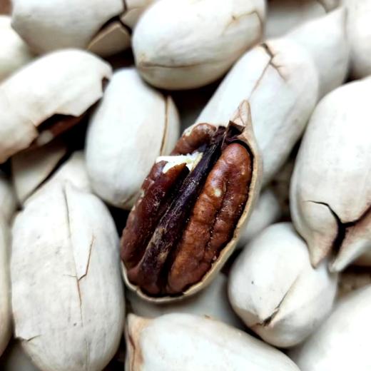 【坚果系列】碧根果 甄选好原果 颗粒饱满 壳薄易剥 果仁酥脆好吃~ 商品图2