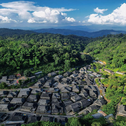 【景迈山地区·上门接送】云南·景迈山 | 古寨茶林一日游 | 糯干古寨+翁基古寨+大平掌古茶林+蜂神树 商品图2