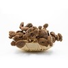 玺丰收茶树菇100g/袋 商品缩略图2