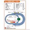 多美卡   NO.901969   普乐路路3线路轨道套组 商品缩略图2