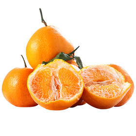 春见耙耙柑 果粒晶莹剔透 粒粒爆珠 细腻爆汁【快递停发，1月30日后开始发货】