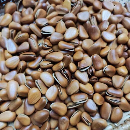 【坚果系列】东北松子、王中王大颗粒、巨无霸虎皮松子，颗粒饱满，开口率高，几乎没有空壳~3A开口松子品质也不错，主打性价比 商品图3