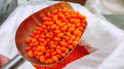 深秋红发果沙棘1000克 商品图2