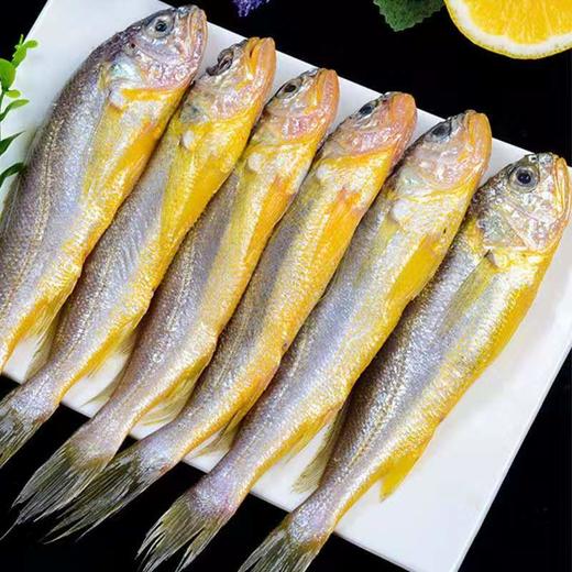 【冰冻水产】黄花鱼550g/袋  独立包装 商品图4