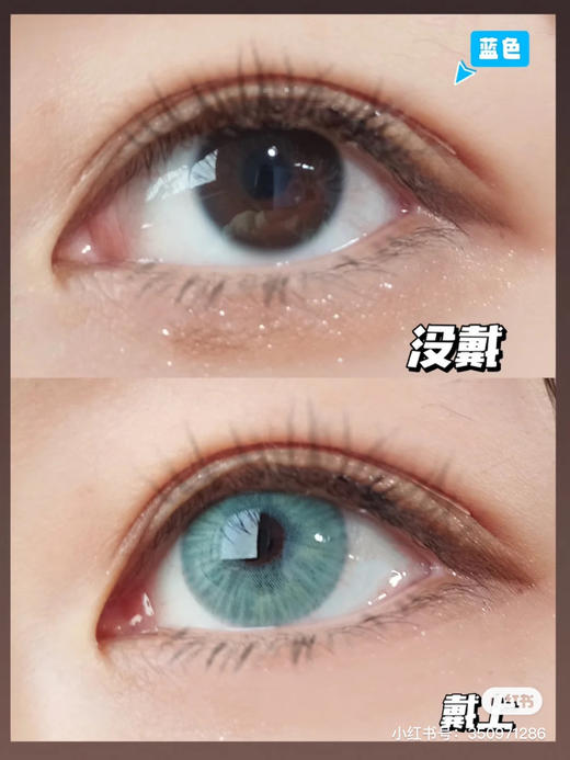 月抛 Summerbaby 印度女王蓝 14.5 着色14.0 混血蓝绿 商品图10