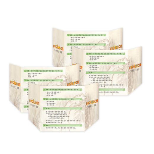 Yaofish 物种演化-起源  福利款 商品图4