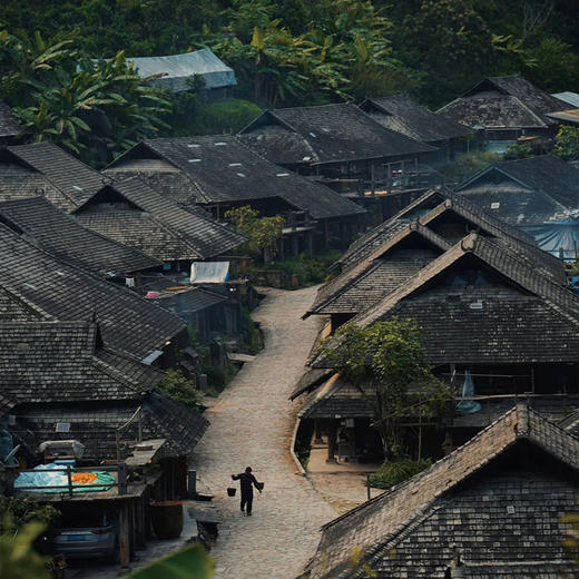 【景迈山地区·上门接送】云南·景迈山 | 古寨茶林一日游 | 糯干古寨+翁基古寨+大平掌古茶林+蜂神树 商品图5