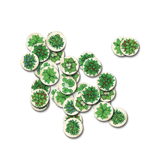 Yaofish 物种演化-起源  福利款 商品图2