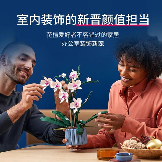 乐高 兰花10311 商品图2