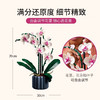 乐高 兰花10311 商品缩略图3