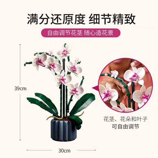 乐高 兰花10311 商品图3