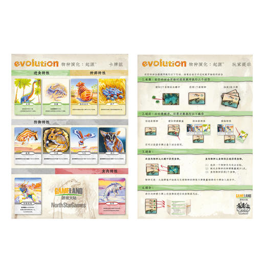 Yaofish 物种演化-起源  福利款 商品图5