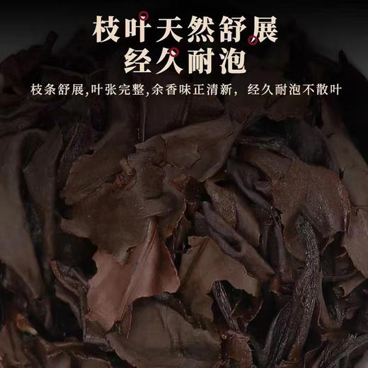 老寿眉白茶 龙珠茶投 福鼎茶山 核心产区 商品图1
