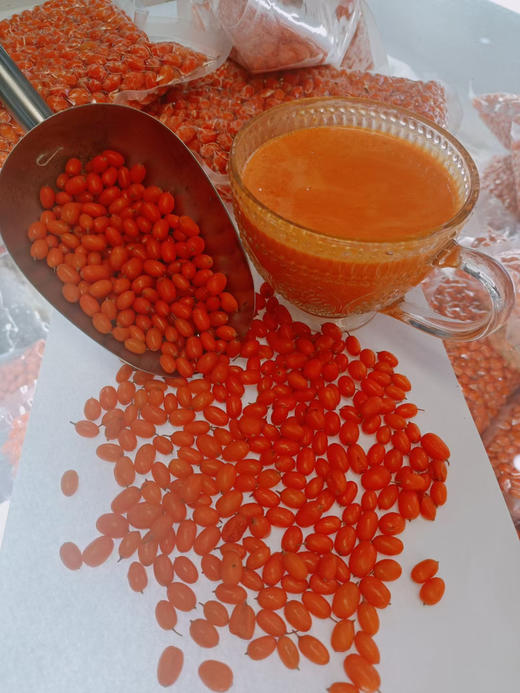 深秋红发果沙棘1000克 商品图1