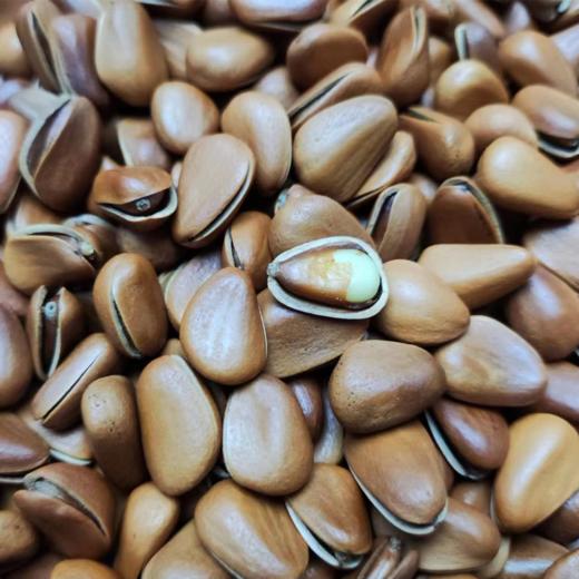 【坚果系列】东北松子、王中王大颗粒、巨无霸虎皮松子，颗粒饱满，开口率高，几乎没有空壳~3A开口松子品质也不错，主打性价比 商品图5