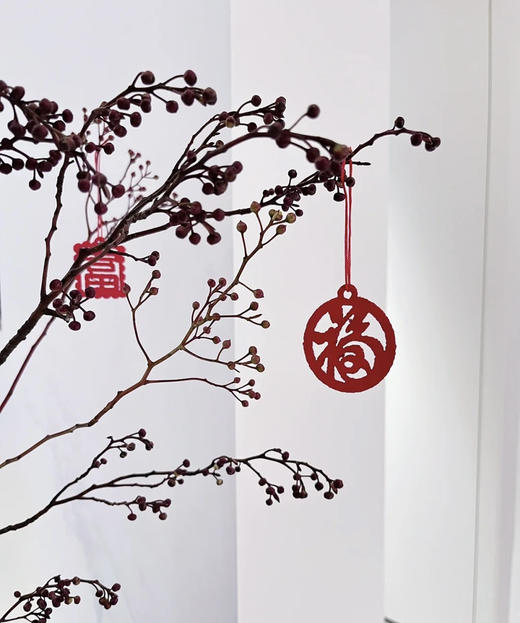 【报答/感恩】灯台  2-3枝/扎 商品图4