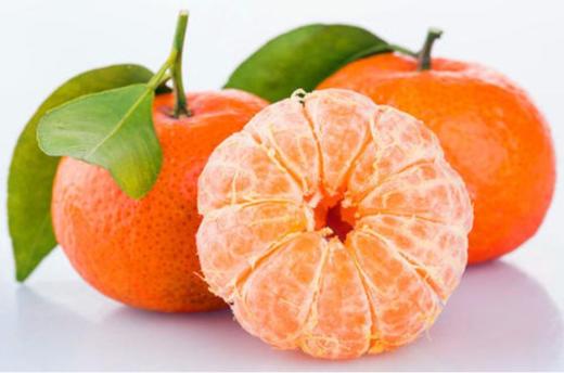 砂糖橘 商品图1
