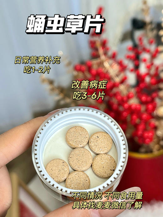 【吃1片≈40根冬虫夏草】【元尊蛹虫草片】高含量蛹虫草素≥8000ug/g，功效强大，呵护全家身体健康！【对身体的调理功效比较多，详见群内介绍】！【QJ-J仓】 商品图5