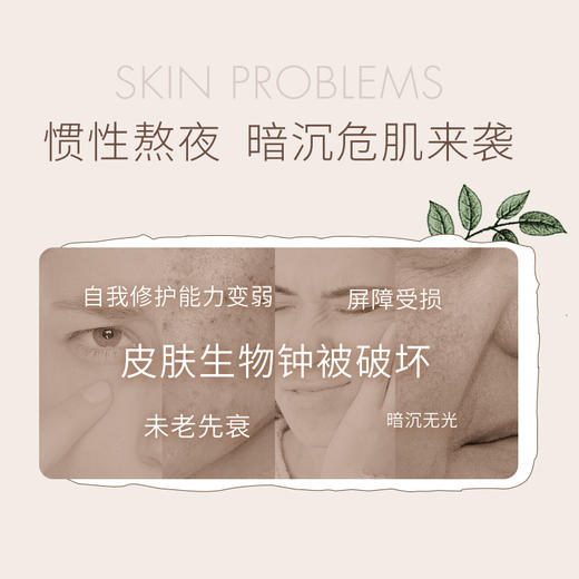 [面膜*5片]【9.9元特价丨29.7元任选3件 | 单笔满59元送卡皮巴拉迷你收纳包】ZEESEA滋色白松露臻萃焕颜面膜单片装*5片（3件起购，拍下3件立减） 商品图3