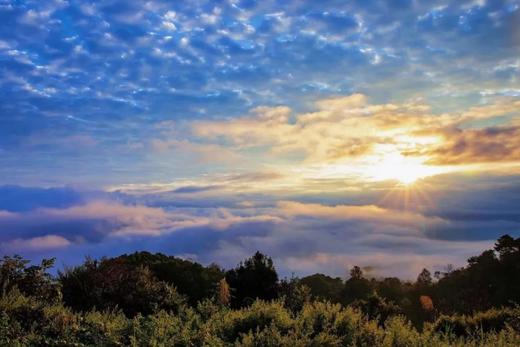 【云南景迈·接送站/包车/租车】5座/7座车（景迈山+西双版纳+普洱） 商品图5