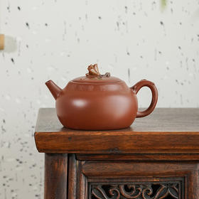 龙德堂陶艺 汤宣武制 《浴兰》原矿底槽清  280cc 库存请咨询客服