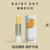 【代发】DAISY SKY雏菊的天空桂影恒润修护唇膏 橙花豆蔻智妍唇膏 润唇膏男女 商品缩略图3