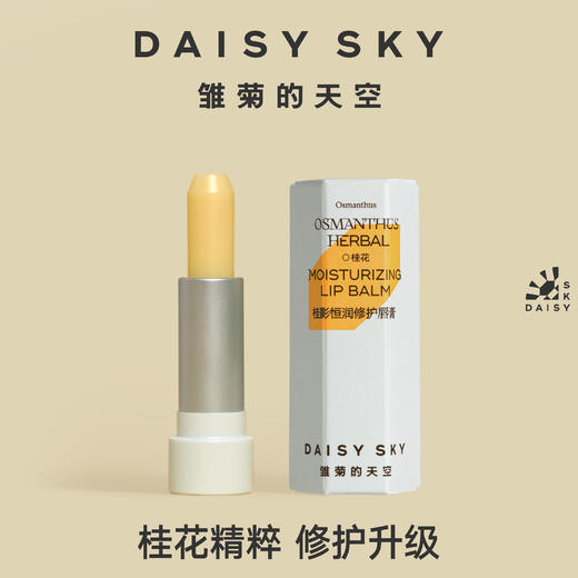 【代发】DAISY SKY雏菊的天空桂影恒润修护唇膏 橙花豆蔻智妍唇膏 润唇膏男女 商品图3