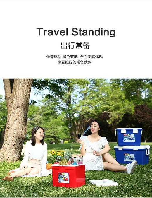 爱丽思 蓝色保温箱25升 商品图0
