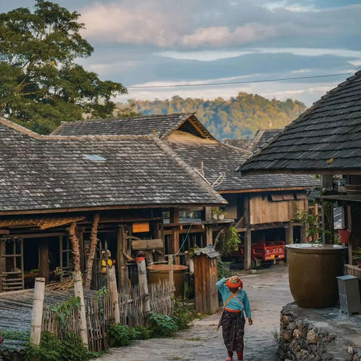 【景迈山地区·上门接送】云南·景迈山 | 古寨茶林一日游 | 糯干古寨+翁基古寨+大平掌古茶林+蜂神树 商品图3