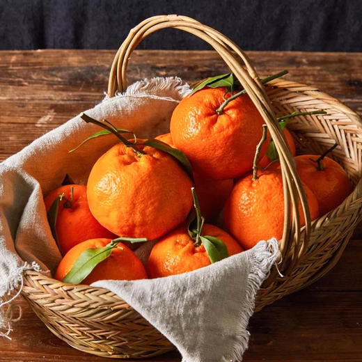 春见耙耙柑 果粒晶莹剔透 粒粒爆珠 细腻爆汁【快递停发，1月30日后开始发货】 商品图4