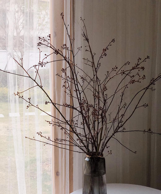 【报答/感恩】灯台  2-3枝/扎 商品图6