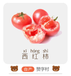 西红柿