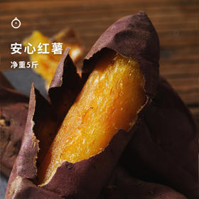 🍠一口专属冬日的幸福！独家品种【河北安心红薯】