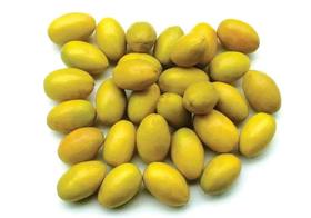 黄蜡橄榄（适熬汤）