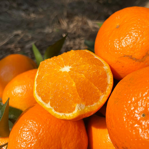 『广西武鸣沃柑』甘冽多汁，皮薄易剥，细嫩化渣 商品图3