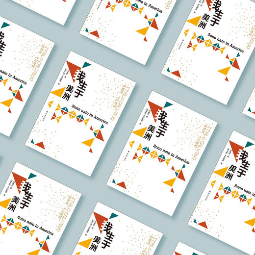 《卡尔维诺经典：我生于美洲》 商品图2