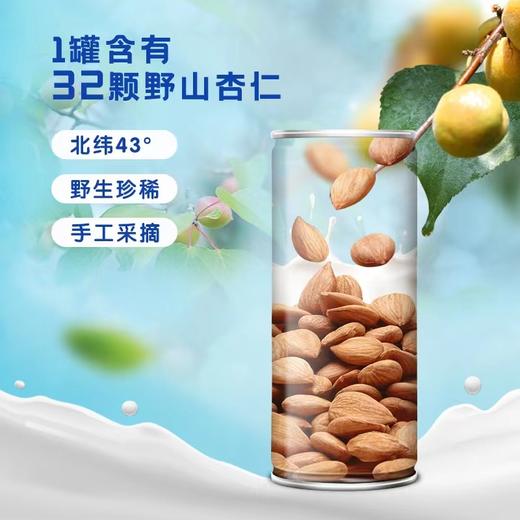 承德露露杏仁露原味/无糖240ml*20罐整箱装赠480ml两罐 商品图2
