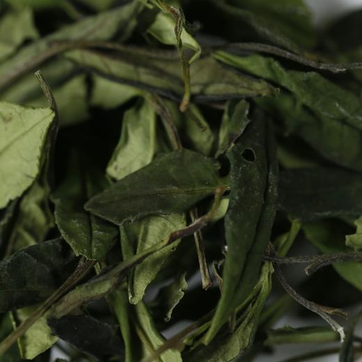 山南山北古树单株 高货组合 贡眉 共2泡 10克 商品图1