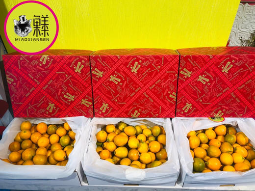 【大桔大利】脆蜜金柑（3A）礼盒1.6kg装 商品图2