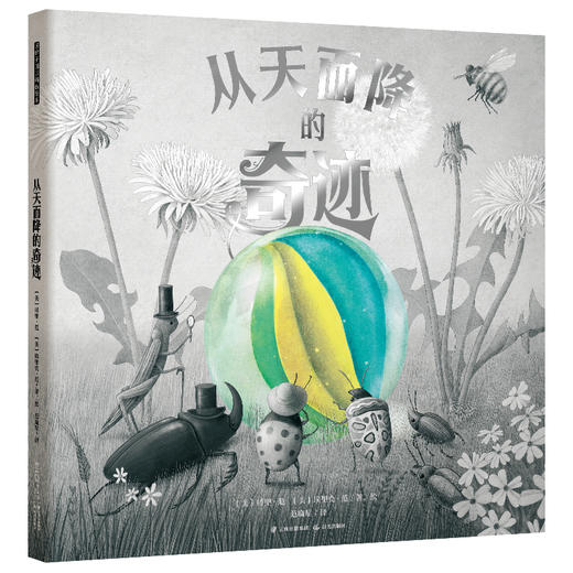 从天而降的奇迹 商品图0