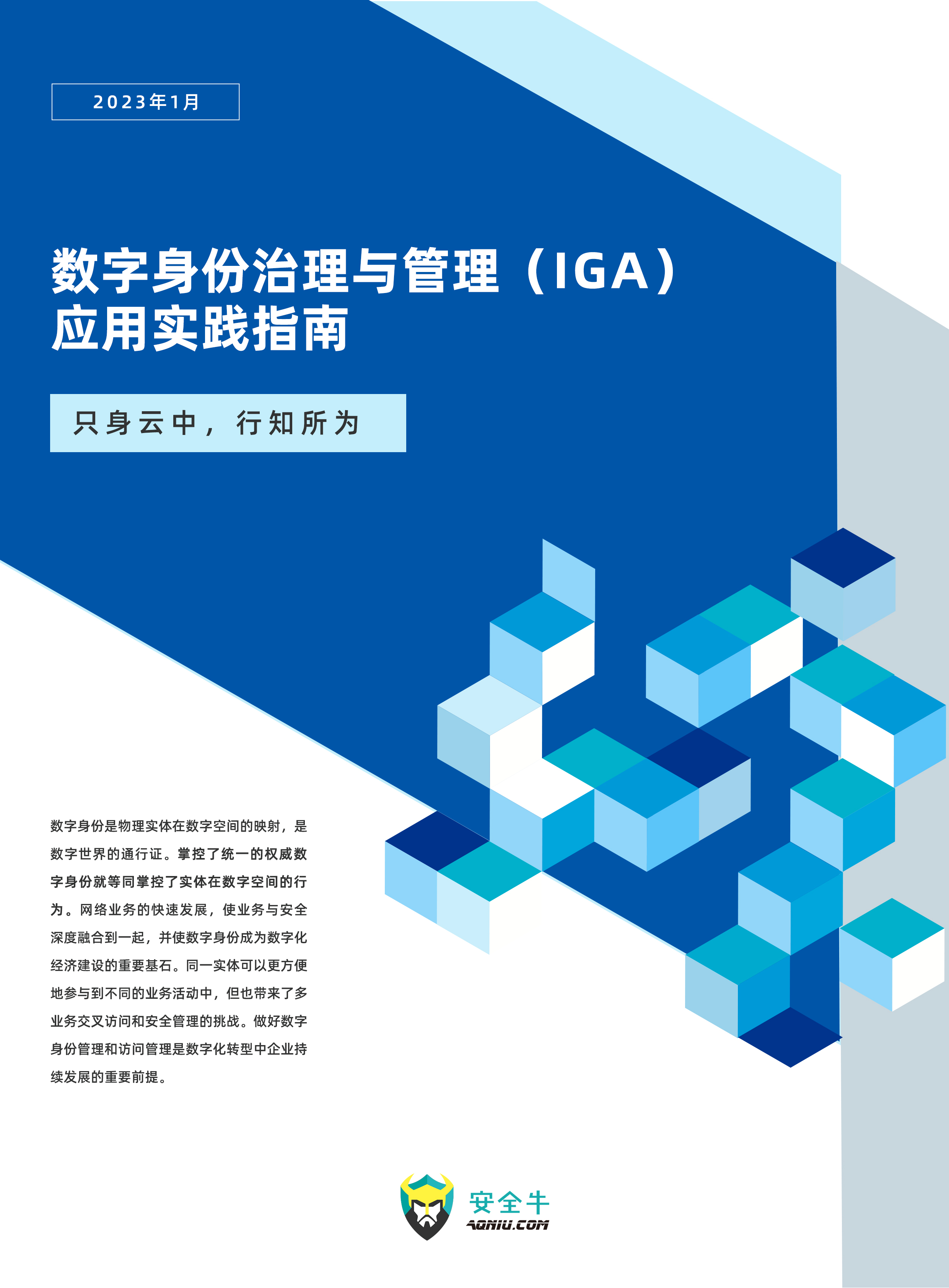 《数字身份治理与管理（IGA）应用实践指南》