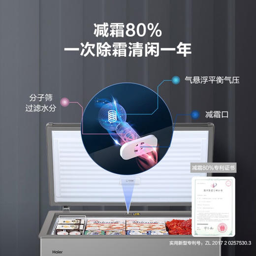 海尔（Haier）306升 智能电脑控温 减霜80% 100H断电保护 三重抑菌呵护 钛金灰外观冷藏冷冻转换冰箱大冷柜BC/BD-306HED 商品图1