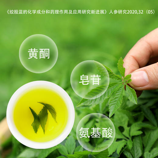 神农金康 绞股蓝500g 原生态真滋补 喝护家人健康 商品图5