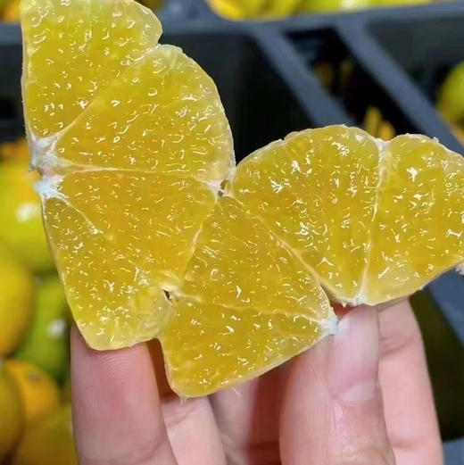 【德庆皇帝柑】皮超薄，果味浓郁，汁水飚溅，清甜无渣，熟悉的味道，青皮也甜哦 商品图4