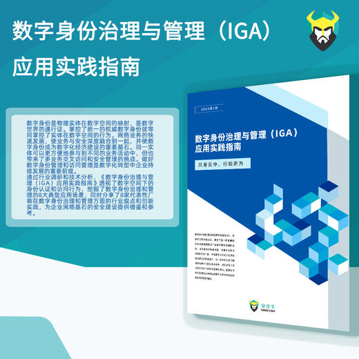 《数字身份治理与管理（IGA）应用实践指南》 商品图1