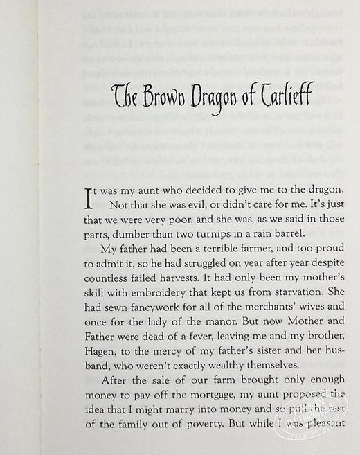 【中商原版】 Dragon Slippers(Dragon Slippers#1) 英文原版 杰西卡·戴·乔治：龙拖鞋（龙拖鞋1） 商品图5