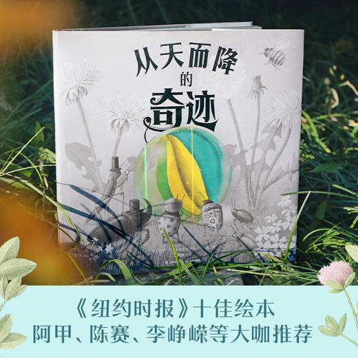 从天而降的奇迹 商品图1